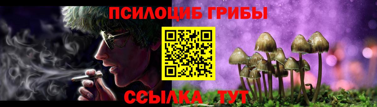 Егорьевск  где найти   Вход с VPN  Псилоцибиновые грибы ЛСД 